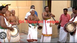 NADASWARAM MELAM Sri Thiruvani Temple Thalassery Kerala [upl. by Zosima]