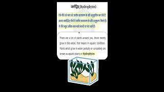 Introduction of Hydrophytes xerophytes halophytes part 1both in hindi and English [upl. by Nilekcaj724]