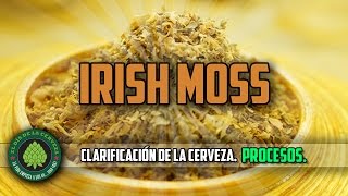 Cómo Hacer Cerveza Artesanal en Casa Irish Moss Clarificación de la cerveza [upl. by Llerdnam]