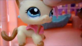 LPS  Love Story  Episode 3 [upl. by Fedirko]