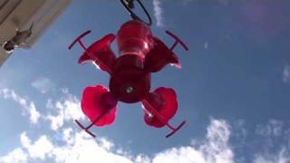 HUMMINGBIRDS ON THE DECK IN KELOWNA BC CANADA MAY 5TH 2010 [upl. by Adnelg]