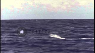 Periscope of the submarine cutting through water as it submerges in the Pacific OHD Stock Footage [upl. by Nuris371]