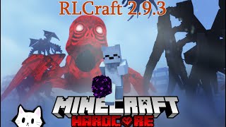 RLCraft 293 Epic Journey 150 Days in One Full Movie [upl. by Minta95]