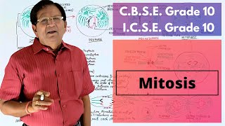 Mitosis  Grade 10 Biology [upl. by Costanzia]