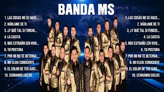 Banda Ms  Super Seleção Grandes Sucessos [upl. by Pentheam]