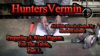 Preparing A Wood Pigeon For The Table Part 1 Feb 2013 [upl. by Rhetta406]