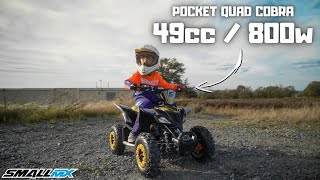 Test Pocket Quad Cobra 49cc  800w  SMALLMX [upl. by Rehc]