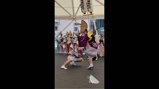 Couples dance in Tokushima😃20240812 Tenporen and Hazukiren 【天保連＆葉月連】徳島阿波おどり [upl. by Hars]