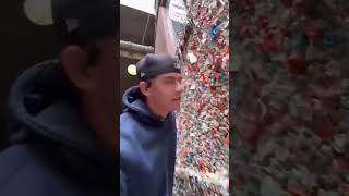 Chewing Gum Wall 🤮shorts youtubeshorts short viralvideo [upl. by Wiencke838]