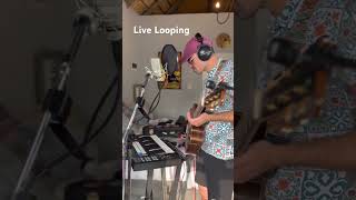 Ableton Live Looping  this ones called Maia x looping abletonlive livelooping afrobeats pop [upl. by Ambrogino]