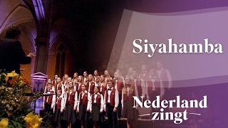 Nederland Zingt Siyahamba [upl. by Amek]