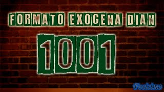 Como diligenciar formato 1001 información exógena DIAN TUTORIAL [upl. by Tedra]