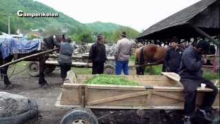 Levende markt Roemenië [upl. by Heady946]