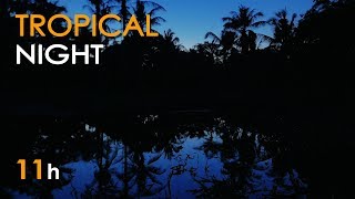 Tropical Night  Jungle Lake Sounds for Sleeping  Frogs amp Crickets  11 Hours  Relaxing Nature [upl. by Ariuqahs]