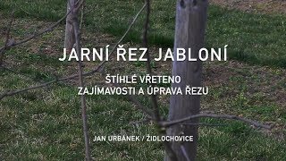 Jarní řez jabloní  zajímavosti a úprava řezu [upl. by Sulienroc]