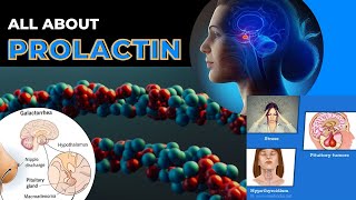 PROLACTIN Test  All About Prolactin  Functions Low PRL Causes High PRL Causes Normal Ranges [upl. by Gorga]