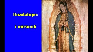 La Madonna di Guadalupe i miracoli [upl. by Brightman617]