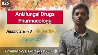 26 Pharmacology of Antifungal Drugs in தமிழ்  Amphotericin B  Griseofulvin  Flucytosine [upl. by Hahsia73]