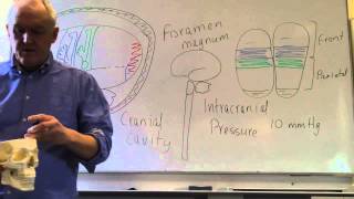 Brain and head injuries lesson 1 Introduction intracranial pressure and level of consciousness [upl. by Akemal]