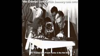 The Cramps  LiveCbgbs 11378 [upl. by Alahsal832]