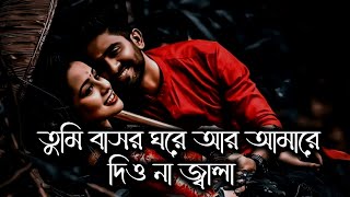 Tumi Basor Ghore Ar Amare Dio Na Jala  Slowed amp Reverb  বাসর ঘরের জ্বালা [upl. by Jacobson]