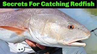 3 Things You Need To Know To Catch Redfish On Cut Bait [upl. by Shulman371]