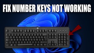 How To Fix Number Keys Are Not Working in Windows 11 [upl. by Eleonora]