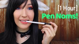 ASMR  PEN NOMS  Plastic Pen Chewing amp Mouth Sounds [upl. by Brubaker]