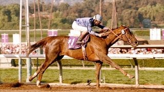 1993 Breeders Cup Classic  Arcangues  Post Race amp WrapUp [upl. by Hepzi]