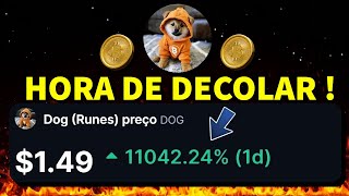 DOG GO TO THE MOON O SEGREDO POR TRÁS DA EXPLOSÃO IMINENTE PARA ESSA CRIPTOMOEDA [upl. by Eceirtal792]