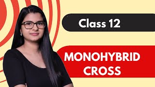 Class 12  Monohybrid Cross  HINDI  Under 6 mins [upl. by Aznaed]