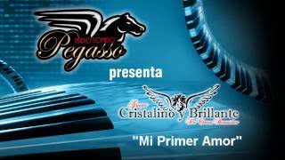 Cristalino y Brillante  Mi Primer Amor [upl. by Milli]