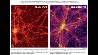 Why the Universe grows like a ‘Giant Brain’ [upl. by Resay151]