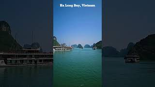 Ha Long Bay Vietnams Most Majestic Wonder halongbay shorts shortsfeed [upl. by Eneroc]