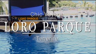 Loro Parque Tenerife 4K [upl. by Merrili]