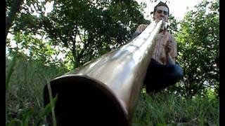 DIDGERIDOO  oboreal play on didgelement  tree to flood [upl. by Ytissahc]