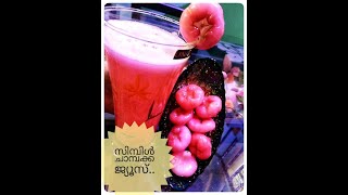 Easy Rose Apple Juice  Jambakka Juice Recipe  ചാമ്പക്ക ജ്യൂസ് [upl. by Ahsocin]