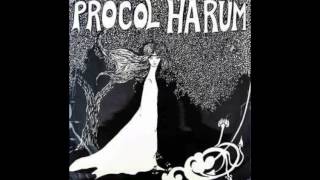 Procol Harum  She Wandered Through The Garden Fence Drum Break  Loop [upl. by Broeder]