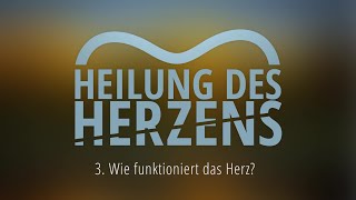 3  Wie funktioniert das Herz  Heilung des Herzens [upl. by Adnylg]