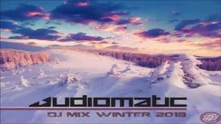 Audiomatic  Dj Mix Winter 2018 [upl. by Ennovyhc]