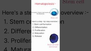 Hematopoiesis 🩸medical science trending viralshort youtube [upl. by Vaclav]