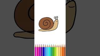 How To Draw A Snail [upl. by Male429]