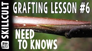 Grafting Series Lesson 6 Why Grafts Succeed or Fail [upl. by Alleiram]