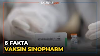 6 Fakta Vaksin Sinopharm Vaksin Booster dengan Izin BPOM [upl. by Chow]