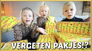 SiNTERKLAASCADEAUTJES VERGETEN OM TE TESTEN 😱  Bellinga Vlog 2281 [upl. by Odnanreh]