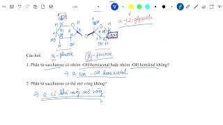 Saccharose và maltose [upl. by Nora]