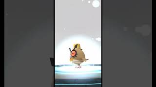 New Years Hat Hoothoot Evolution Into New Years Hat Noctowl In Pokemon Go  New Year 2023 Pokemon Go [upl. by Naarah]