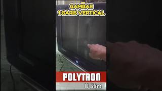 TV Polytron gambar hanya 1 garis vertikal dijamin bisa clink kembali [upl. by Etnaled712]