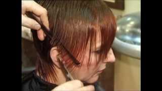 Short cuts from online hair school hairdressing tutorial Part 1 [upl. by Guarino]