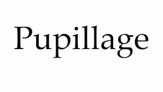 How to Pronounce Pupillage [upl. by Flagler]